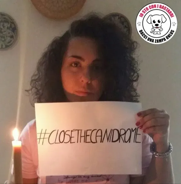 12027377 430139257194850 3849989043138008048 o