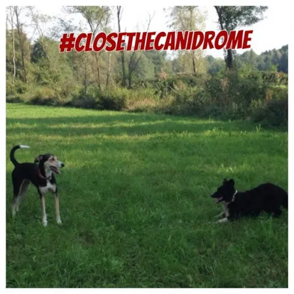 12027539 10207739591756110 8941692209128227693 n