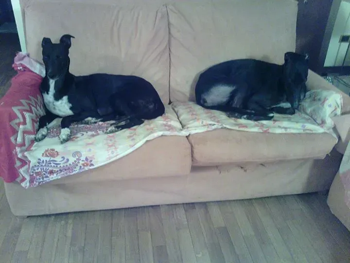 12027604 399089743630847 8172620422759210987 n