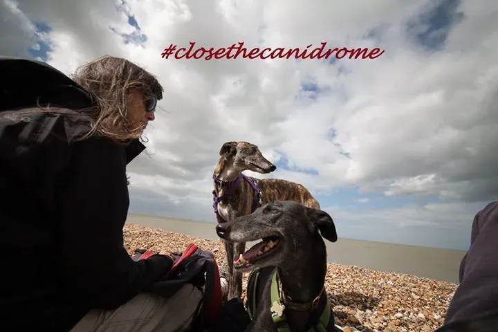 12027752 816264268471368 7039763420797027446 n