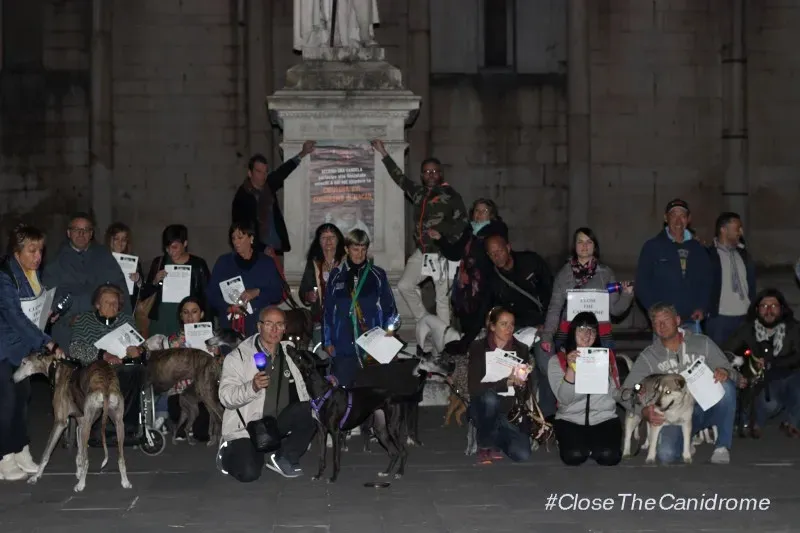 12028625 517883618380162 4617562725255411358 o