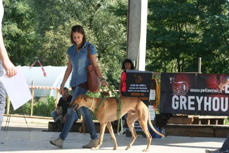 12028818 894539590629897 2824872854119594427 o