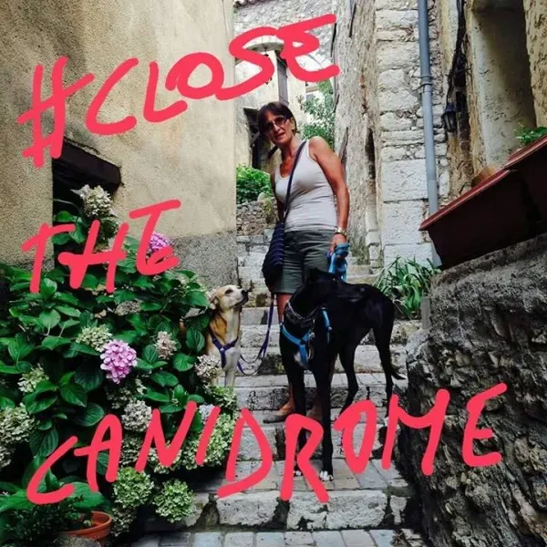 12029209 581743568650503 1137237543 n