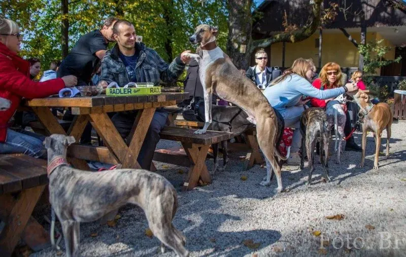 12030379 177496095923758 8305890129136335392 o