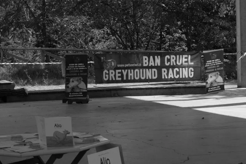 12030462 894535723963617 5442714173968045325 o