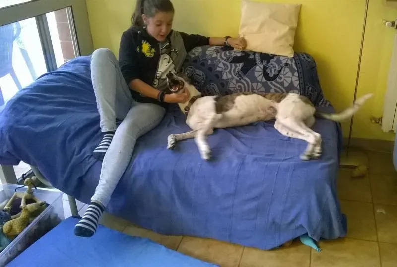 12031411 166537420353834 8772993518620013416 o