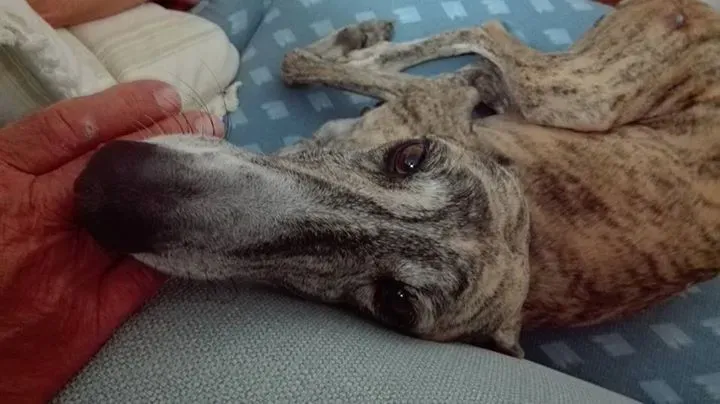 12032007 10207549472325696 1560456100335793495 n