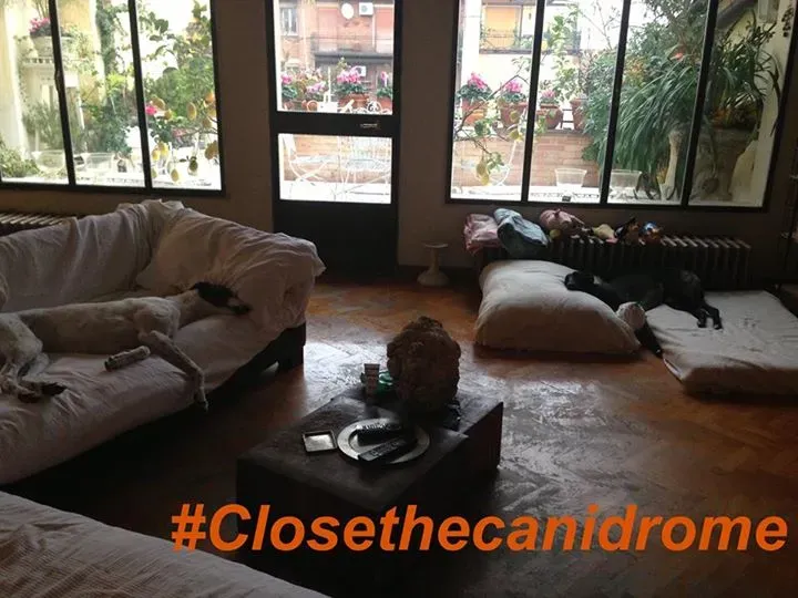 12032032 898546043562585 2263792442975502503 n