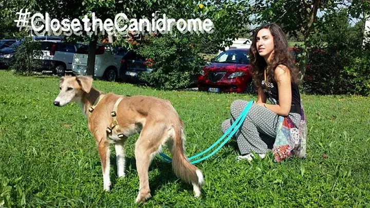 12032046 10207628625744041 3501396502599787857 n