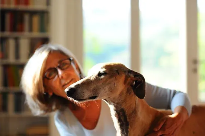 12032072 896454767105046 8520568008699722679 n