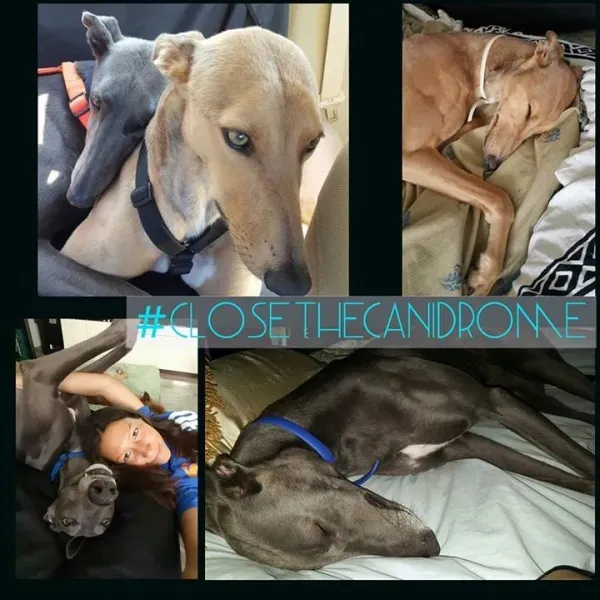 12032112 10206603299114421 3941160450752791728 n