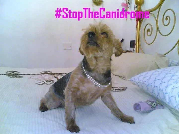 12032140 1021324134558672 346277971425576507 n