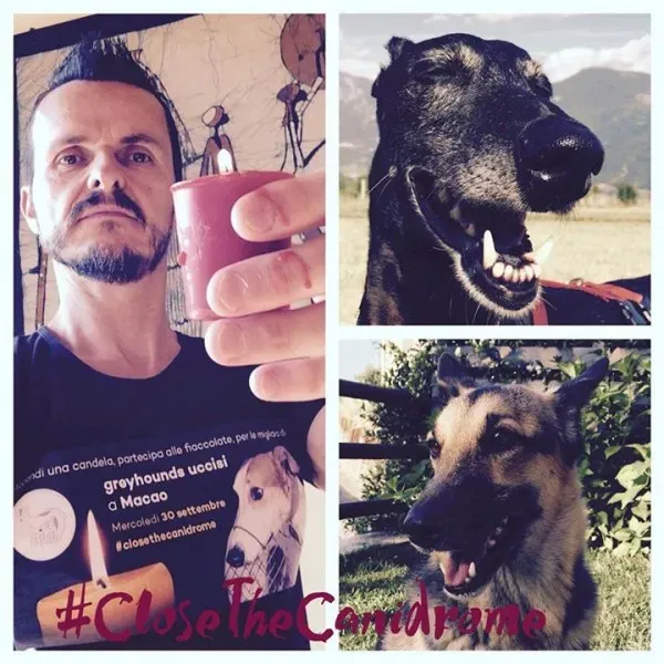 12032202 10153660238123069 2736432464904733238 n