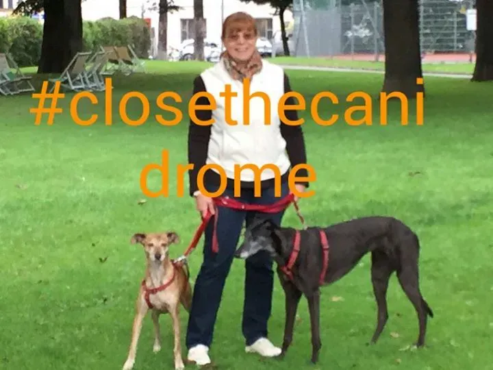 12032226 1512579859042445 2933920351535407060 n