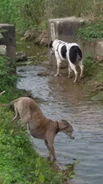 12032249 10207765119714275 4184068239692615767 n