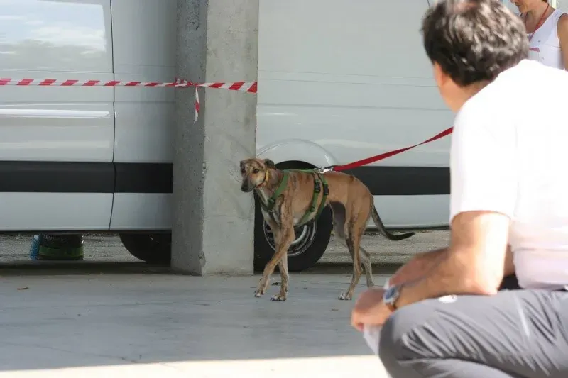 12032746 894541137296409 3706177374415921021 o