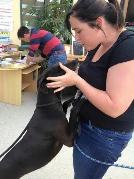 12032963 892133800870476 4748416054648939841 n