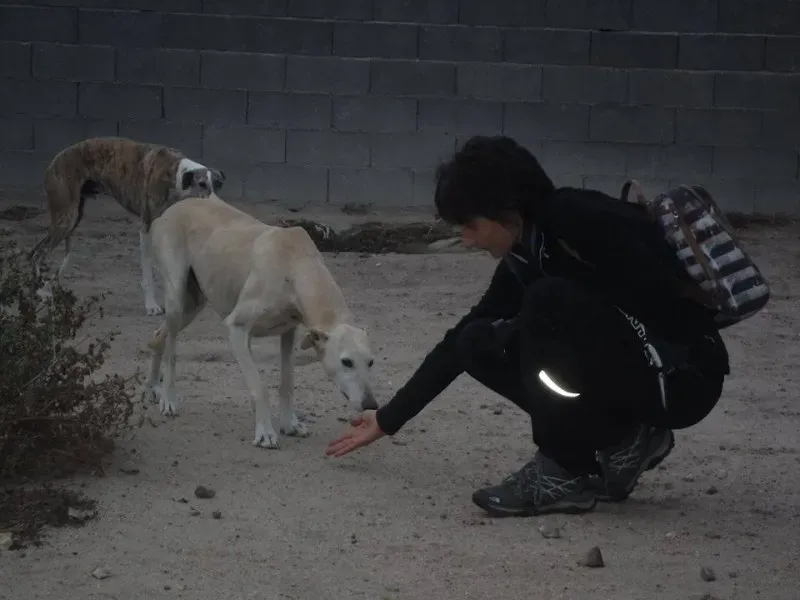 12032984 10206935118650250 5133620797176779157 n