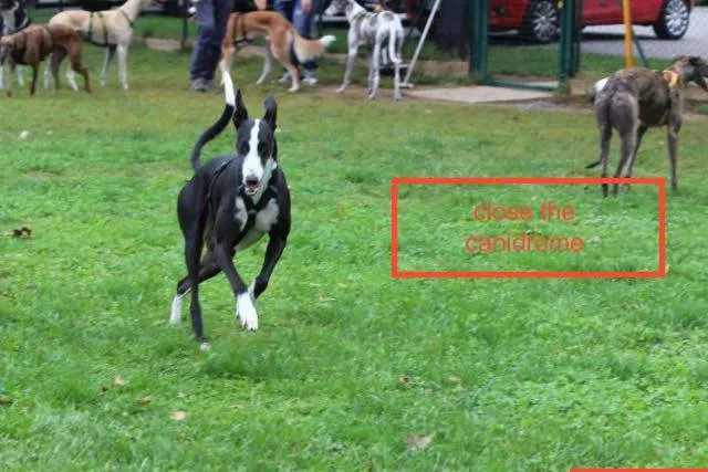 12033023 755494681243610 6067909793117209517 n