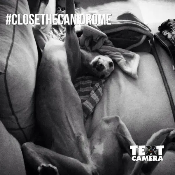 12033089 10205969037597713 2387734649142776910 n