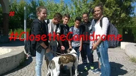 12033090 168703013470608 791543909358117162 n