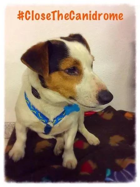 12033105 896656247084898 1061155805289311836 n