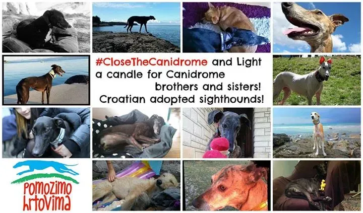 12033129 763971897062149 1348281395891708242 n