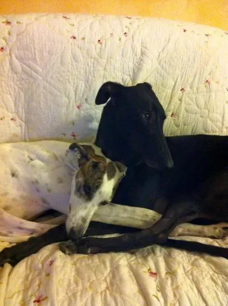 12033140 891676577582865 3227798493852520945 n