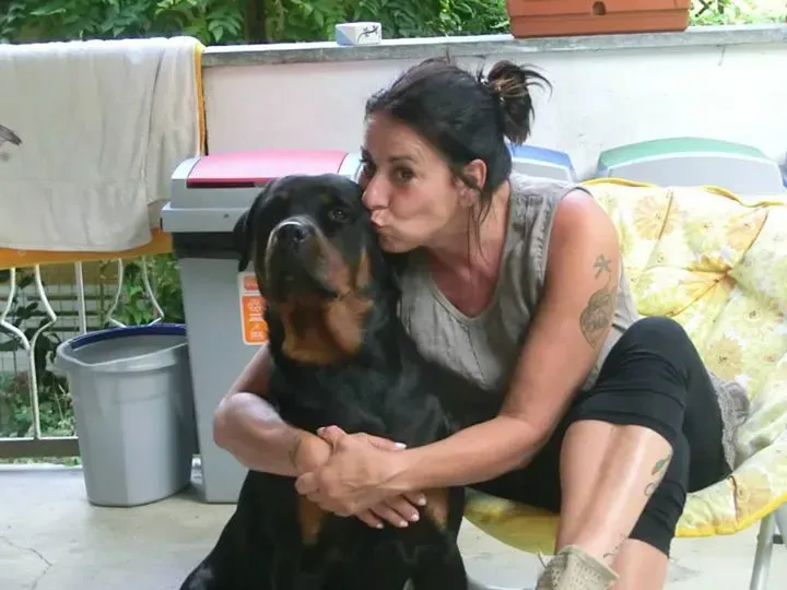 12033177 781716871950182 6150724223986583774 n