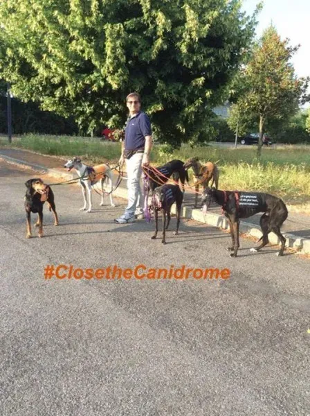 12033191 10203405620140871 7736541512861827054 n