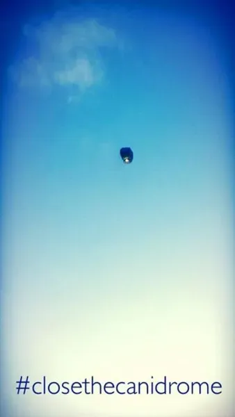 12033213 10207321437625016 7594223452314432470 n