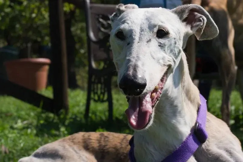 12033219 895117877238735 6371454211261329637 n