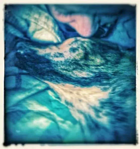 12033247 821248484658351 308572550463758233 n