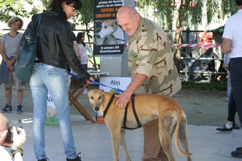 12034193 894539270629929 5143597126764127421 o