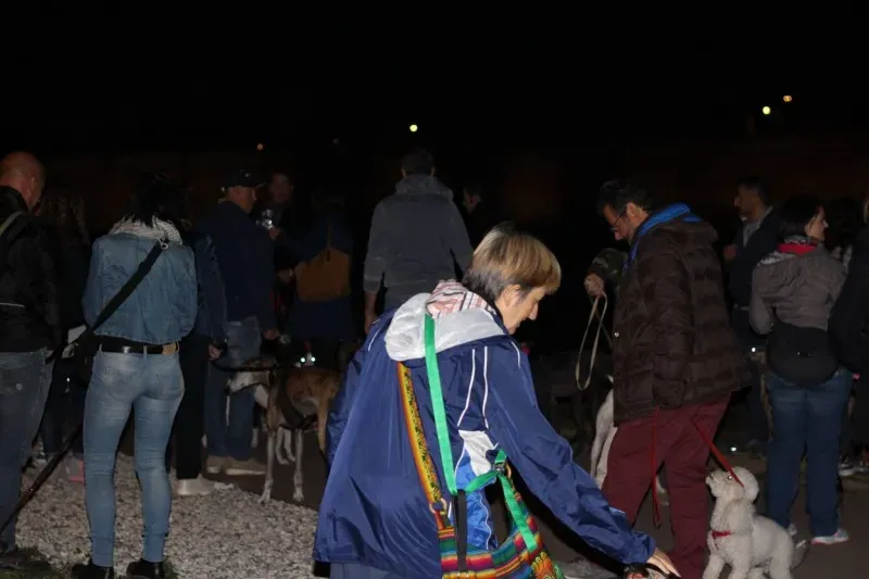 12034260 517883958380128 9127518760564481496 o