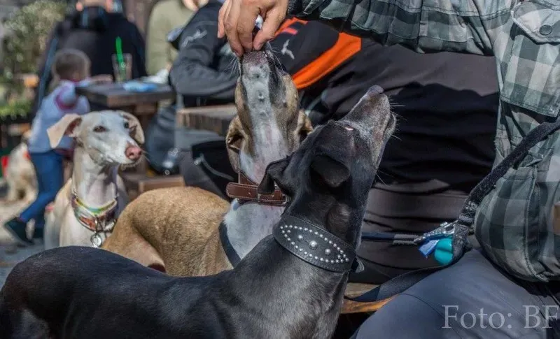 12034482 177495429257158 4399036728374910238 o