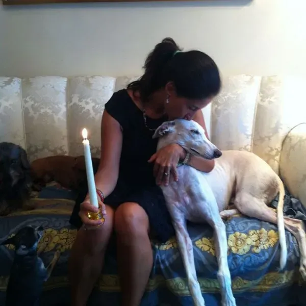 12036369 1228165483875569 7548642398672229428 n