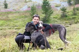 12036378 1264043310279903 4658492171354981412 n