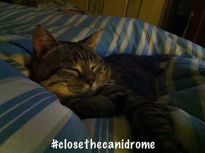 12036379 10207433559587329 4977354062798134794 n