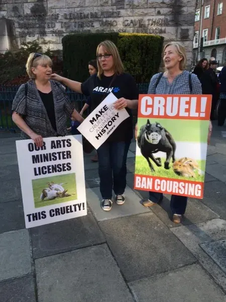 12036401 1087789141238784 6124556612074377744 n