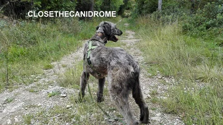 12036494 10204950865827070 7768961500074761086 n