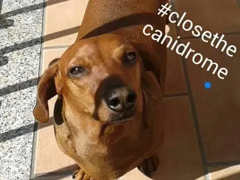 12036602 10204464130915997 6509891898656116575 n