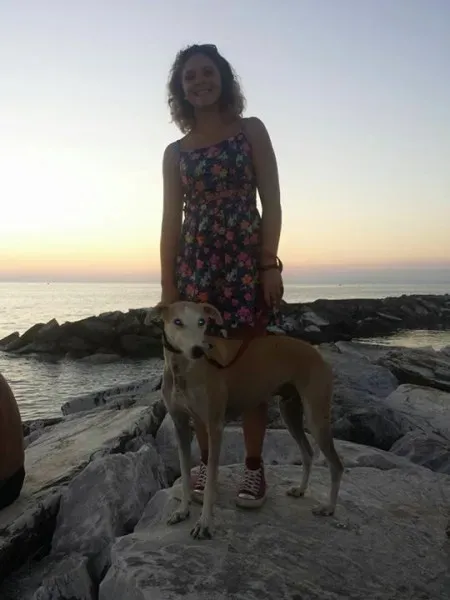 12036605 1616269011967499 4393365060139513770 n