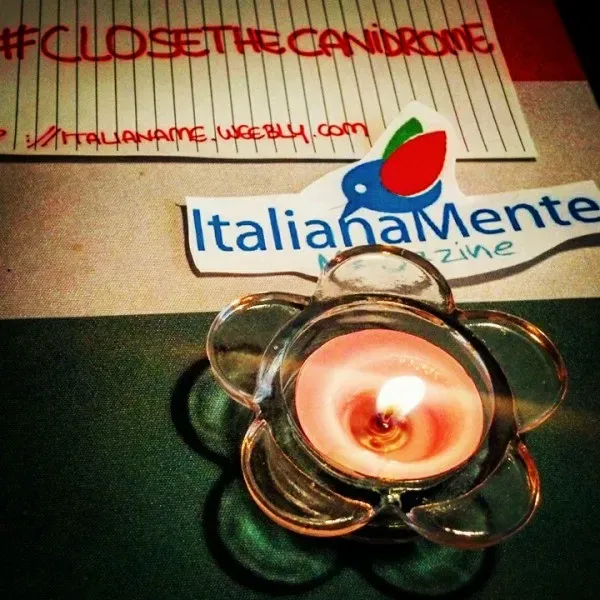 12036658 724799584291089 705181693202574508 n