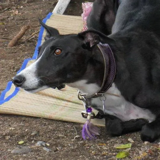 12036694 10206463162209993 7190236202128720687 n