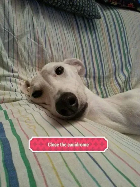 12036750 10208110063018181 8839381419815822175 n