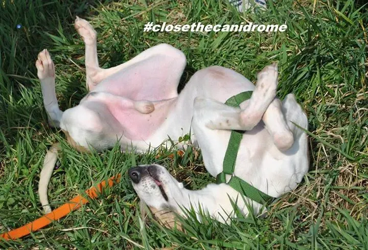 12036754 10206826412770226 5511515827583214566 n