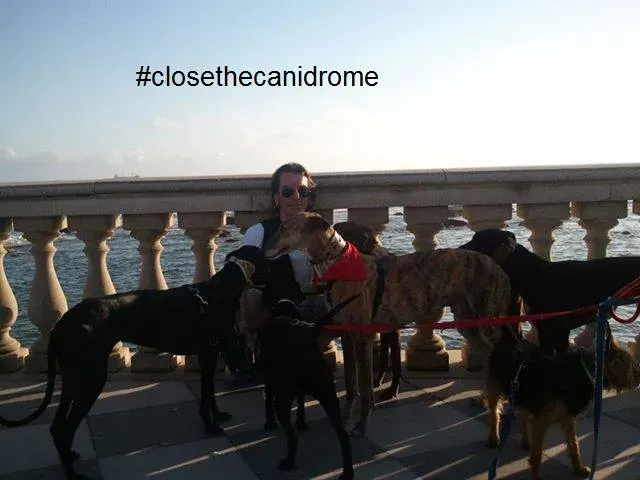 12036795 10207810807177315 1620561965514921882 n