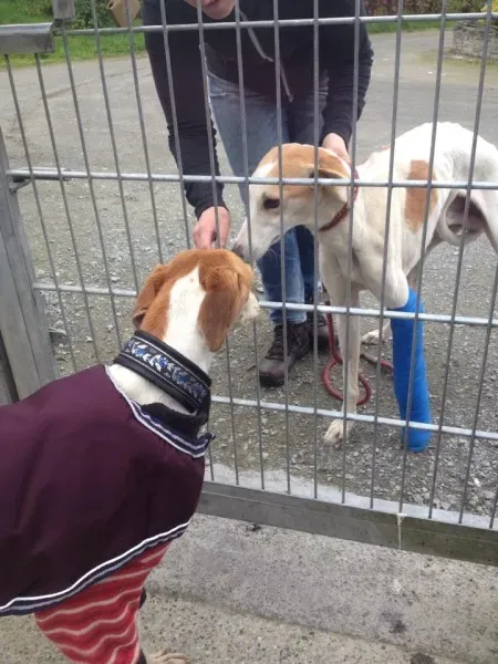 12036847 1086821848002180 8556919113443152301 n