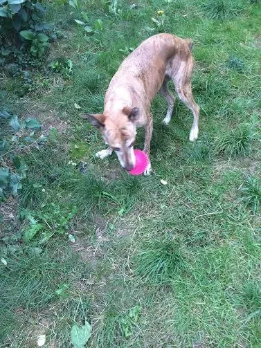 12036849 764288197030519 6744607057096168901 n